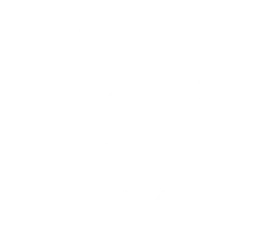 Zephyr Neyro